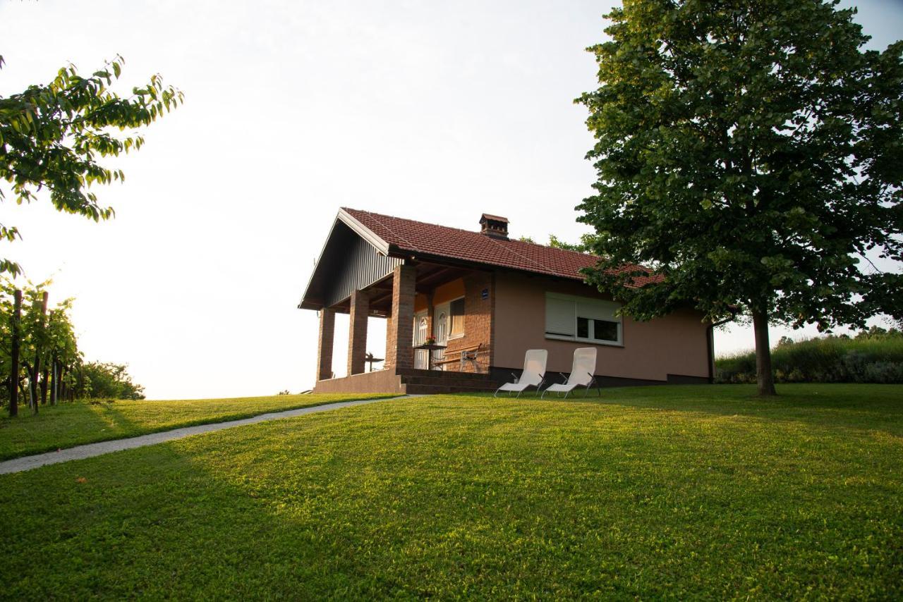 Guest House Blazevic Gornja Gracenica Buitenkant foto