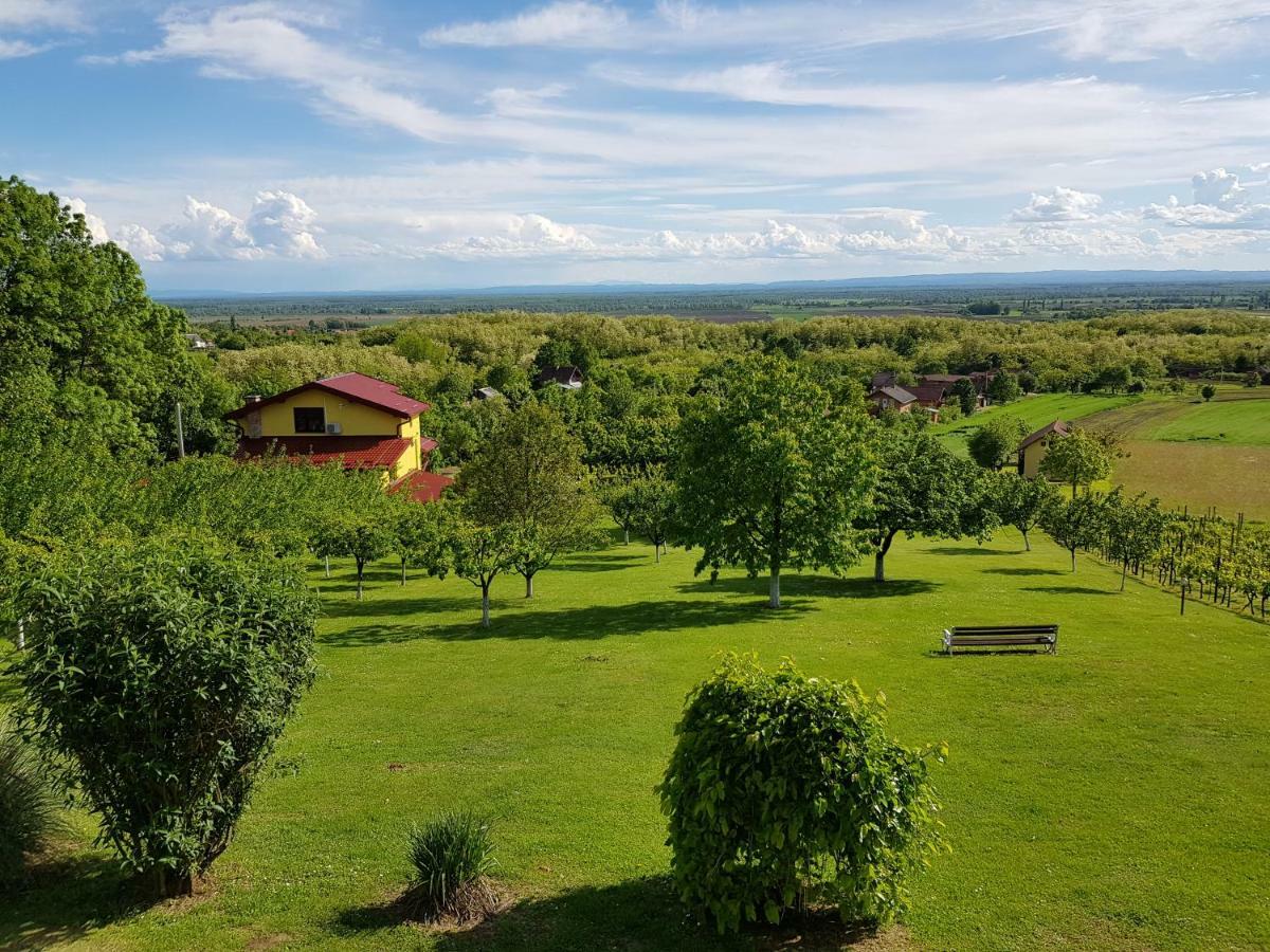 Guest House Blazevic Gornja Gracenica Buitenkant foto